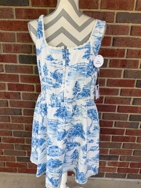 Japna Picture Dress
